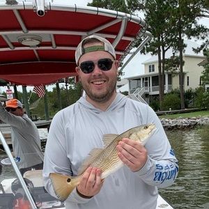 Meet your Posher, Will